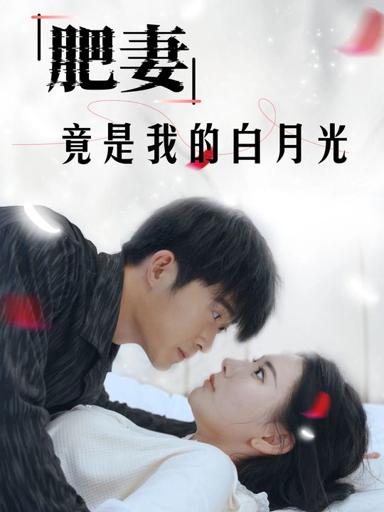 肥妻竟是我的白月光封面
