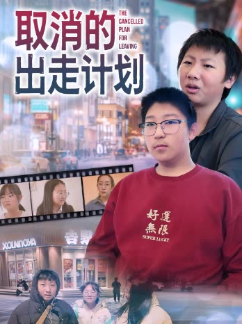 取消的出走计划封面