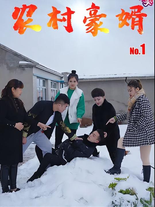 农村豪婿之替身豪婿封面