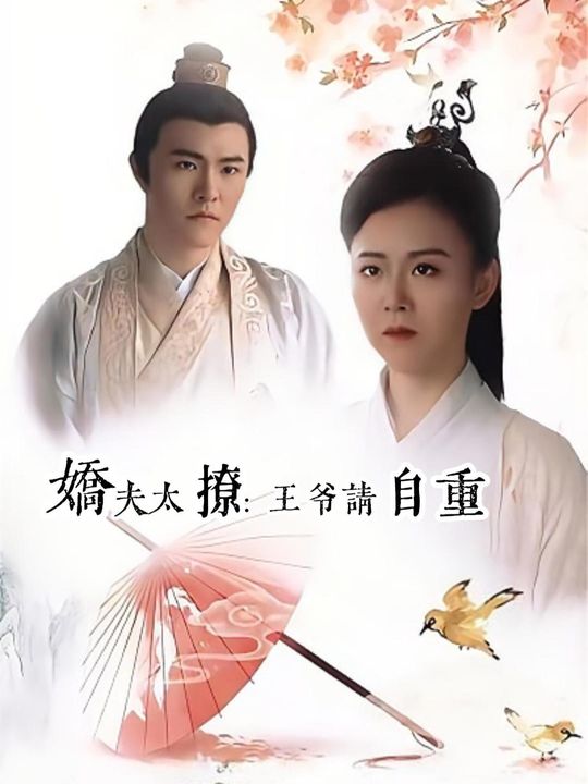娇夫太撩:王爷请自重封面