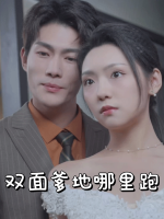 双面爹地哪里跑封面