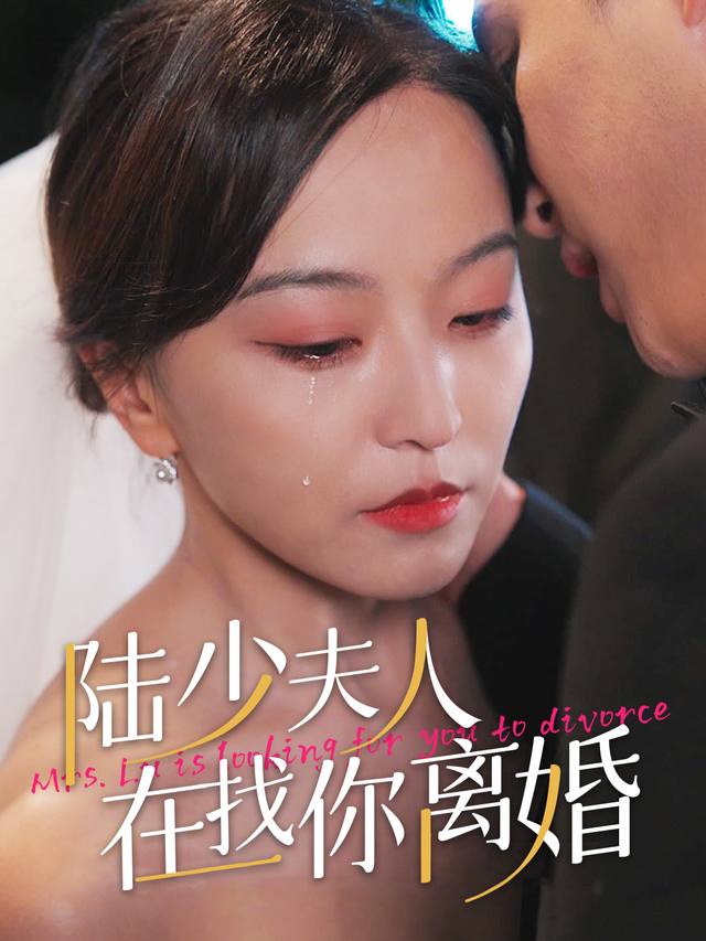陆少夫人在找你离婚封面