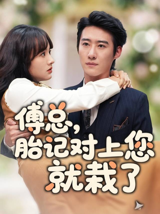傅总,胎记对上您就栽了封面