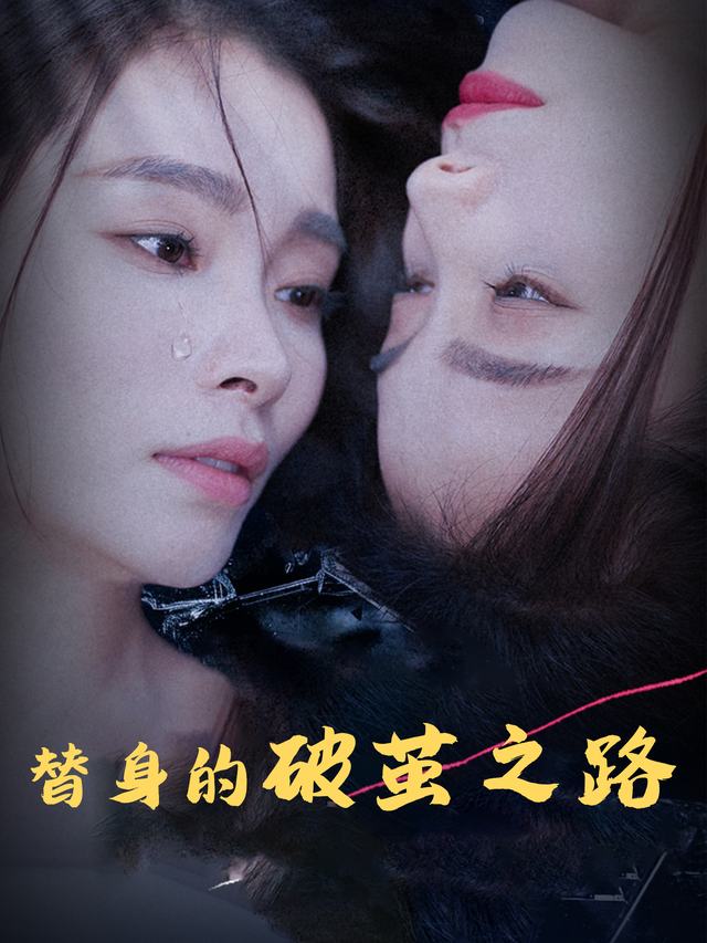 替身的破茧之路封面