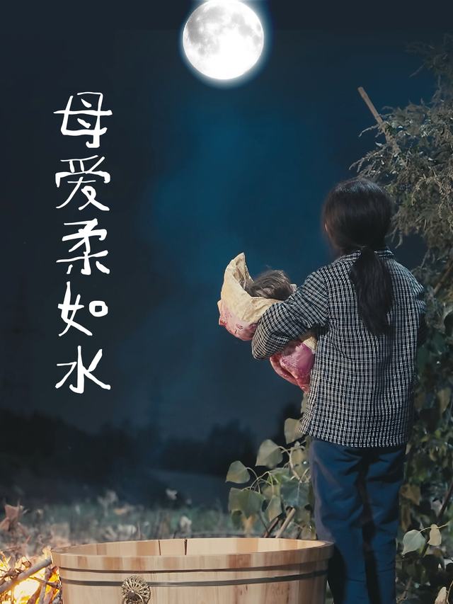 母爱柔如水封面