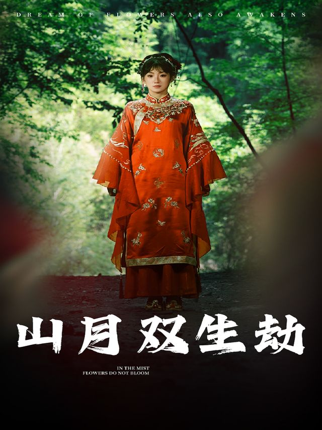 山月双生劫封面