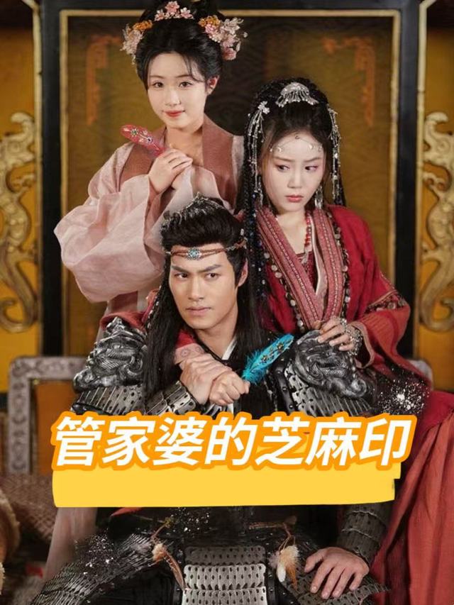 管家婆的芝麻印封面
