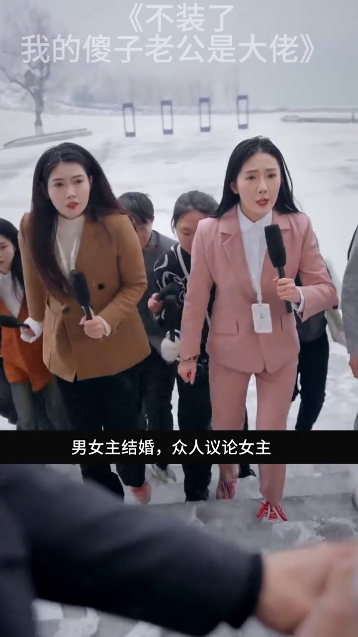 我的傻子老公不装了封面
