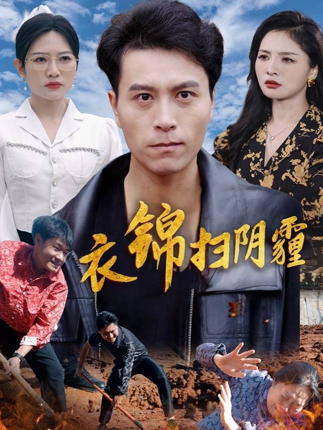 衣锦扫阴霾封面