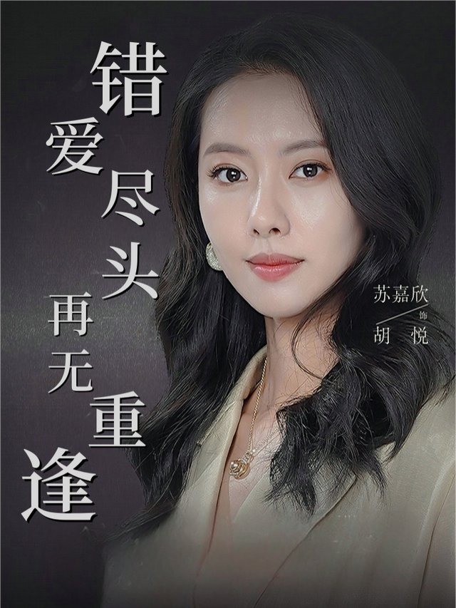 错爱尽头再无重逢封面