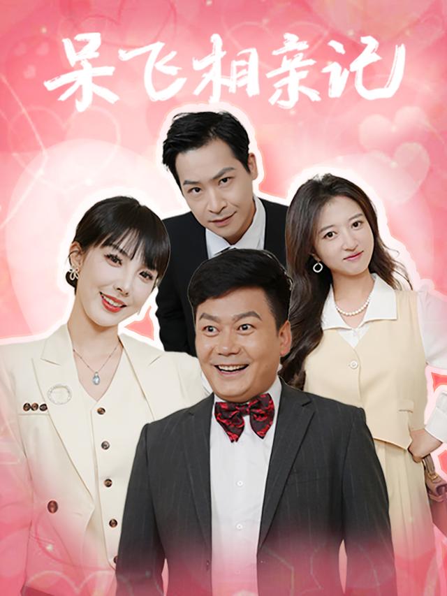 呆飞相亲记封面