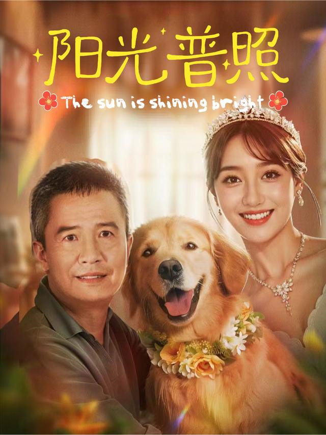 阳光普照封面