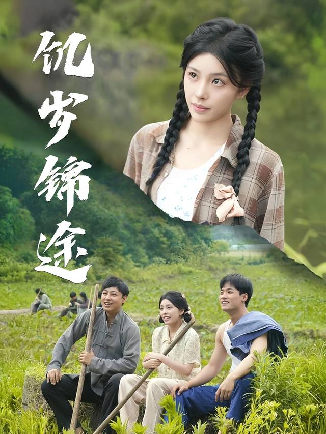 饥岁锦途封面