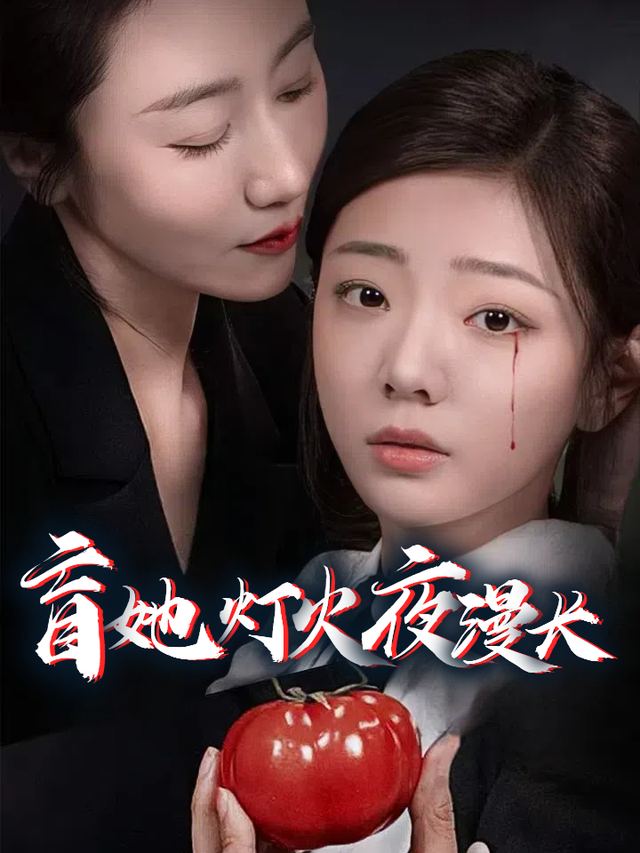 盲她灯火夜漫长封面