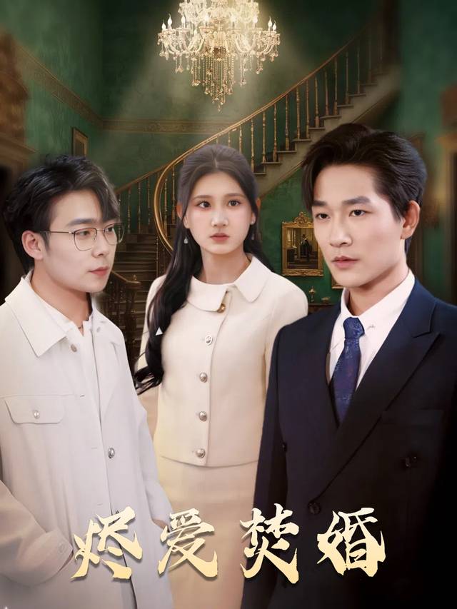 烬爱焚婚封面