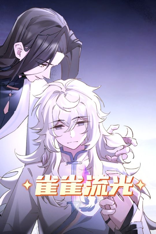 雀雀流光封面