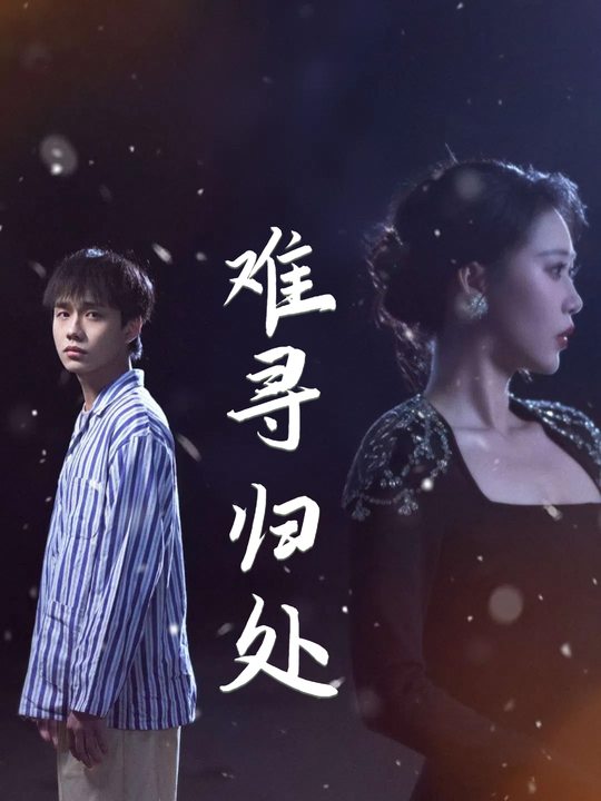 难寻归处封面