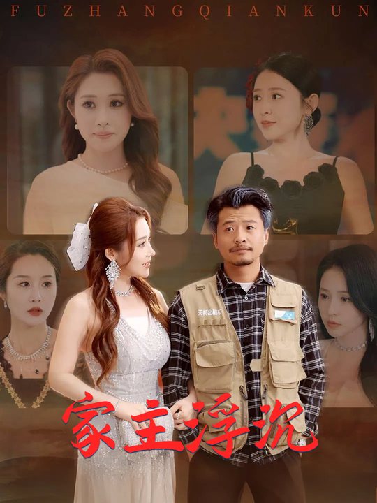 家主浮沉封面