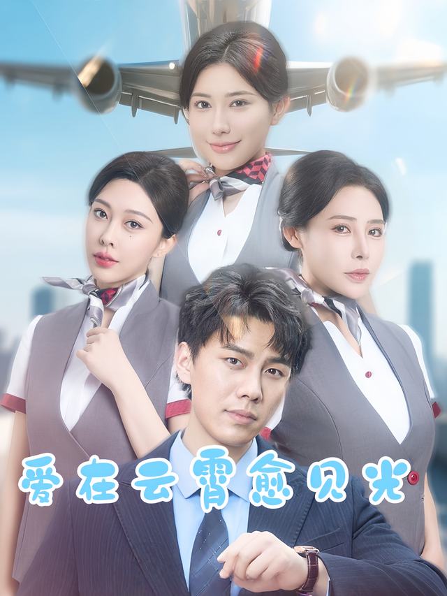 爱在云霄愈见光封面
