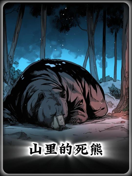 山里的死熊封面