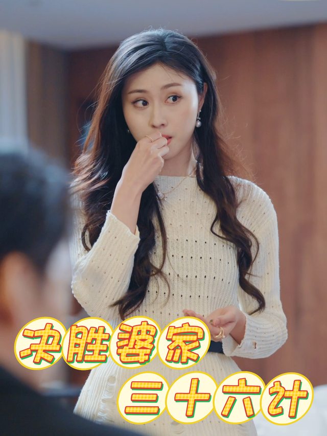 决胜婆家三十六计封面
