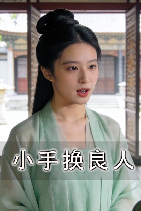 小手换良人封面