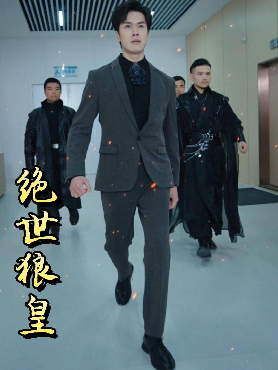 绝世狼皇封面