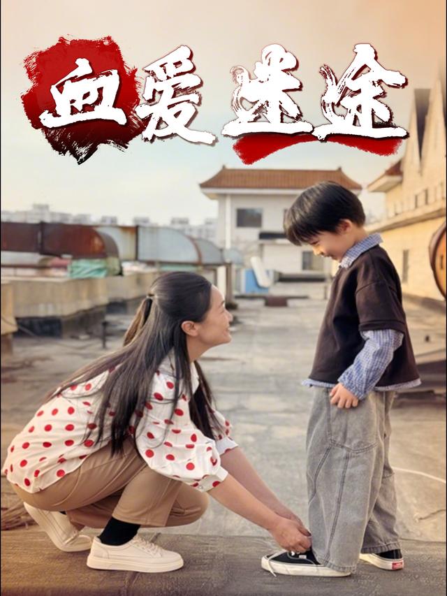血爱迷途封面