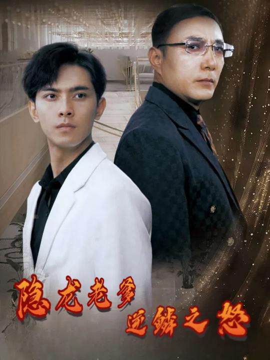 隐龙老爹逆鳞之怒封面