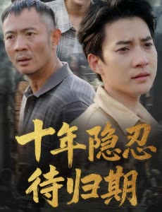 十年隐忍待归期封面