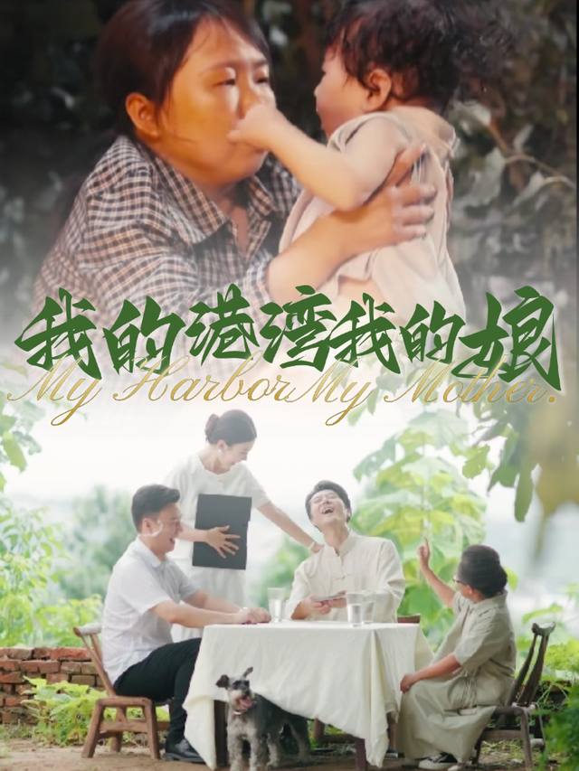 我的港湾我的娘封面
