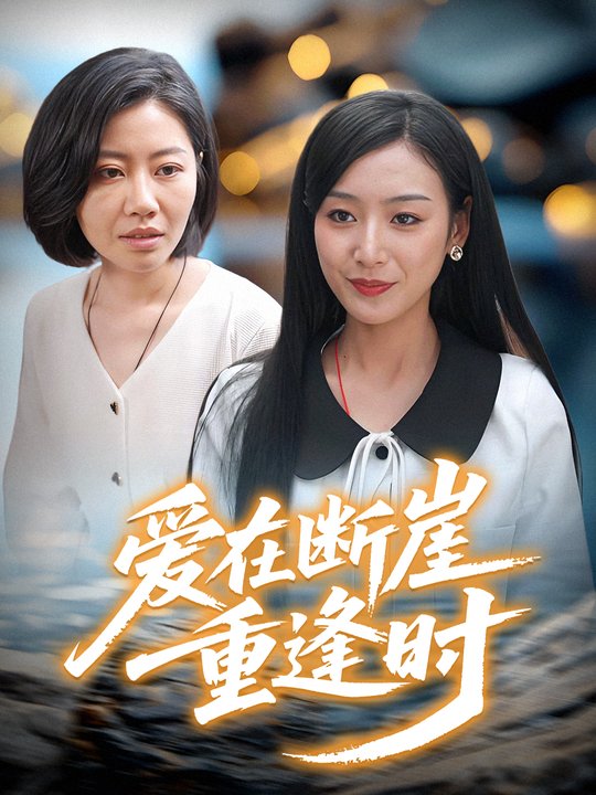 爱在断崖重逢时封面
