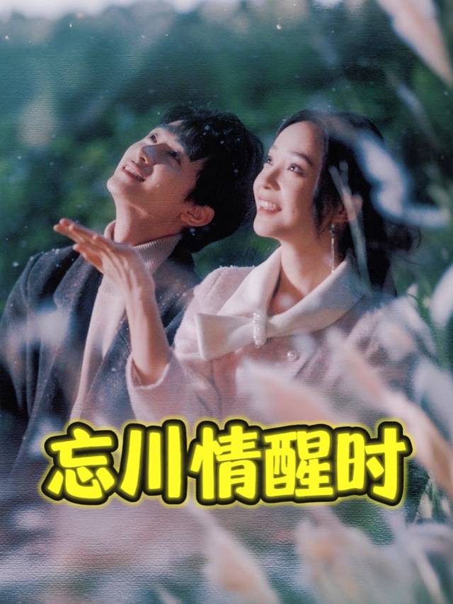 忘川情醒时封面