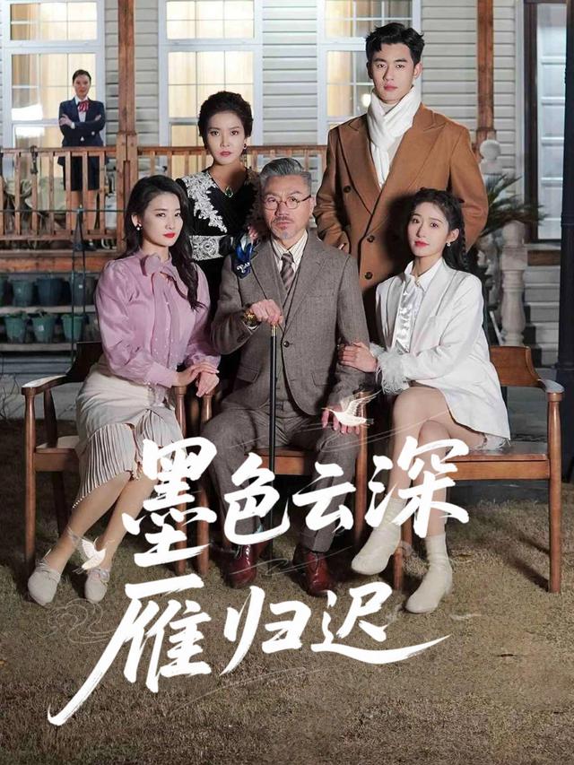墨色云深雁归迟封面