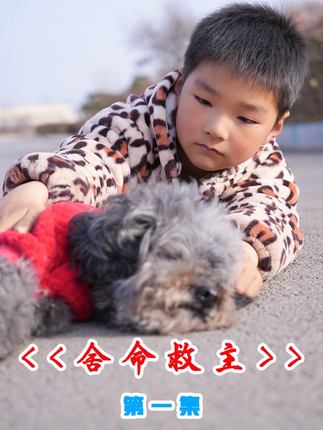 神犬锤锤之舍命救主封面