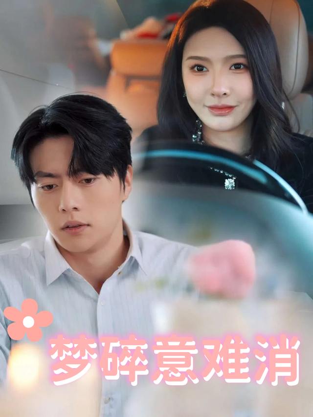 梦碎意难消封面
