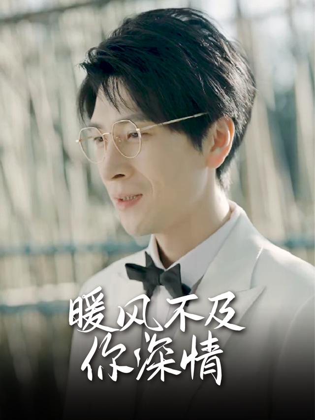 暖风不及你深情封面