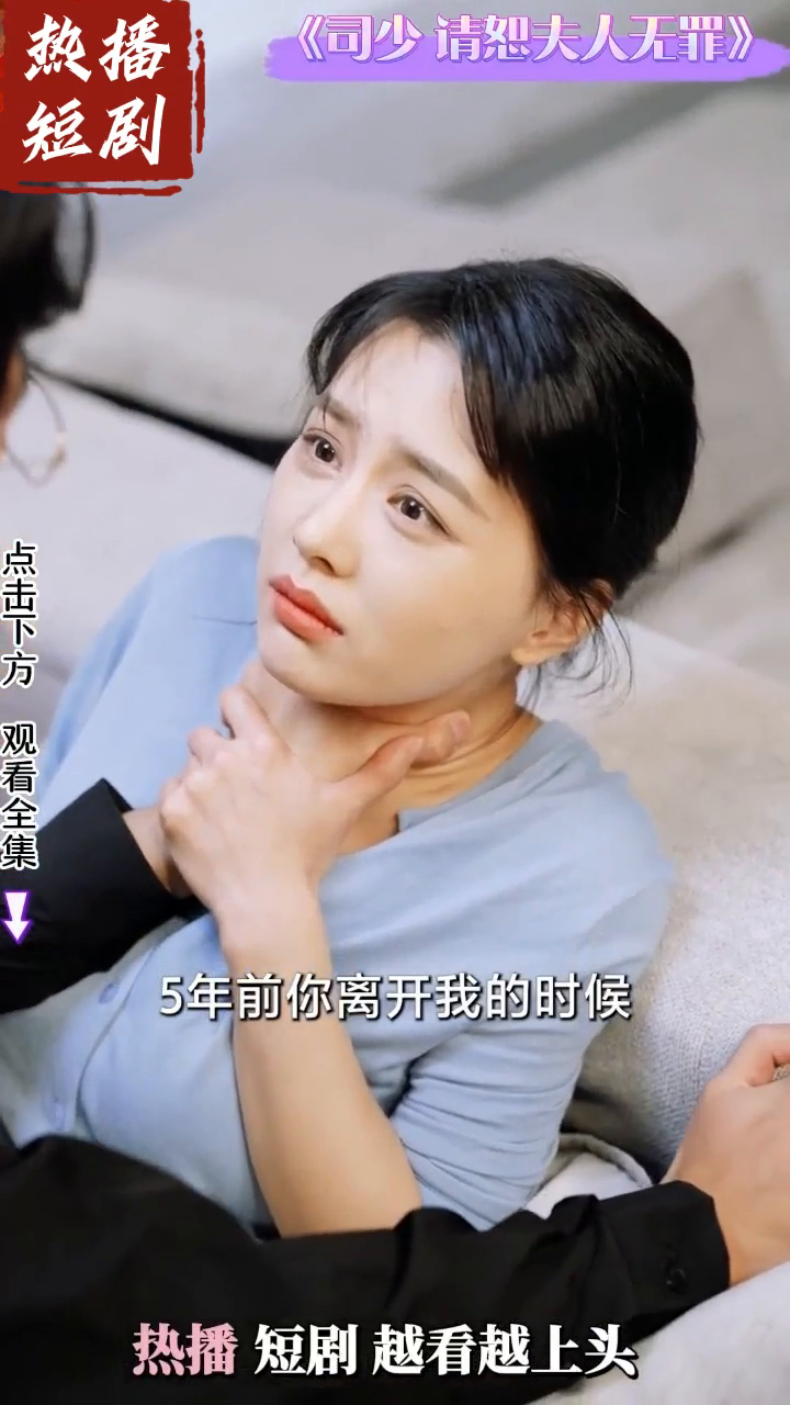 司少请恕夫人无罪封面