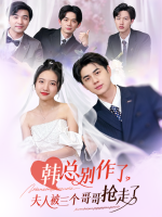 韩总别作了夫人被三个哥哥抢走了封面
