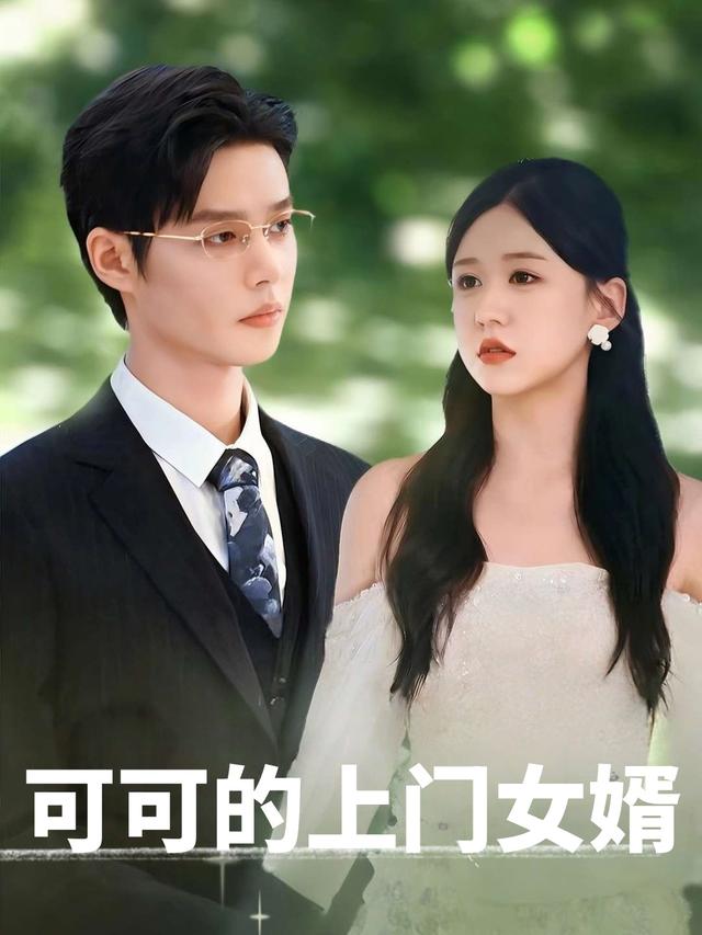 可可的上门女婿封面