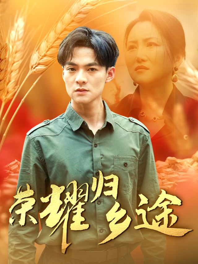 荣耀归乡途封面