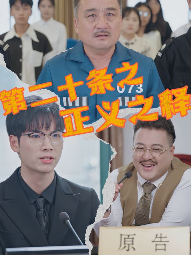 第二十条之正义之释封面