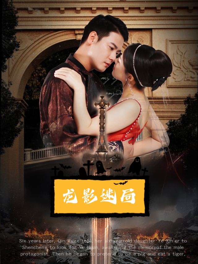 龙影迷局封面