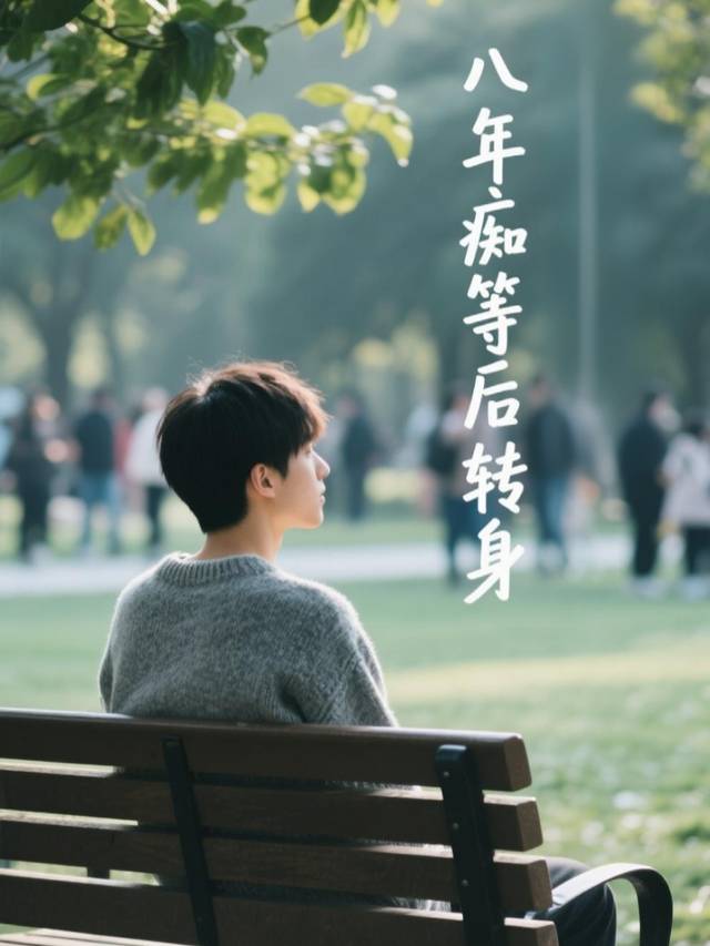 八年痴等后的转身封面
