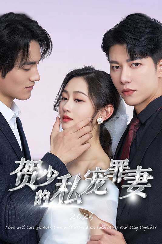 贺少的私宠罪妻封面