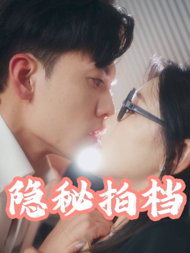 隐秘拍档封面
