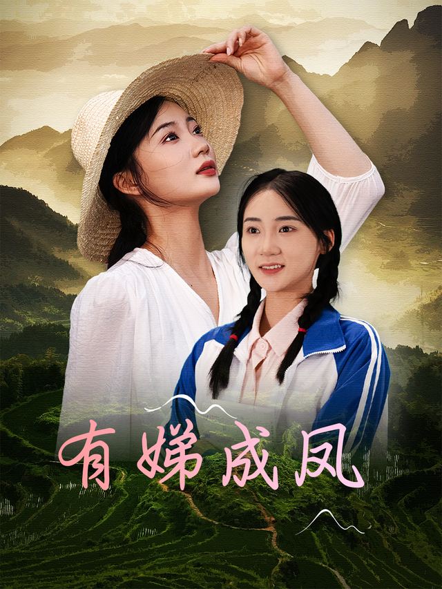 有娣成凤封面