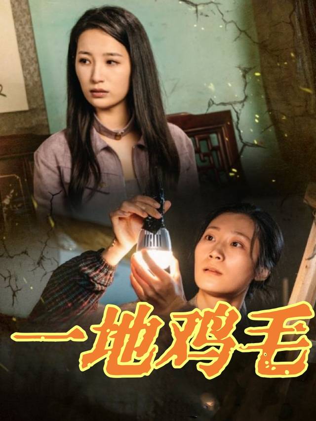 一地鸡毛封面