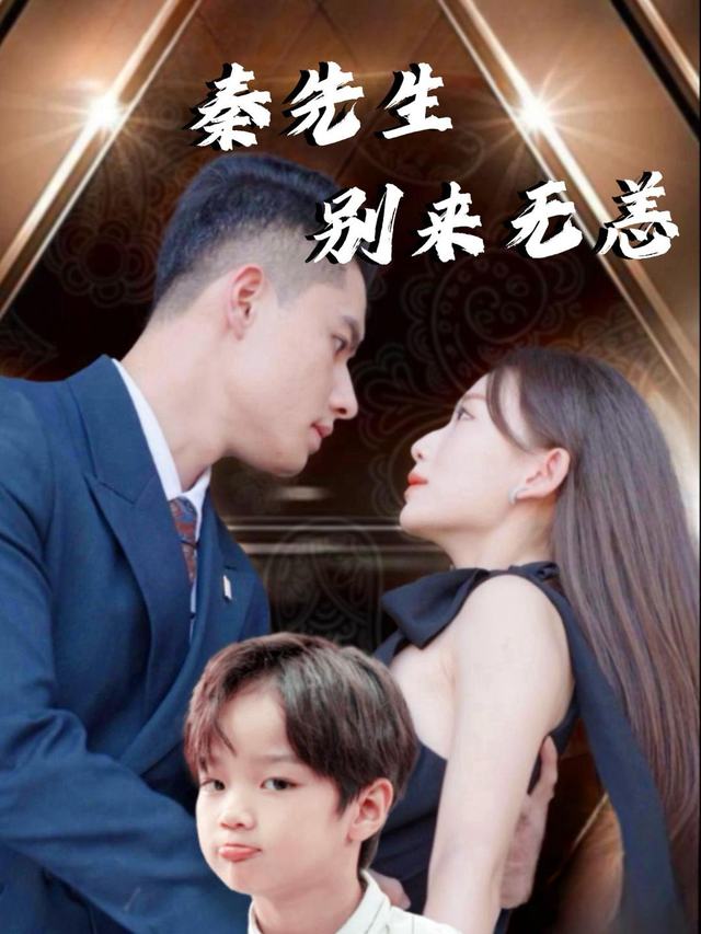 秦先生,别来无恙封面