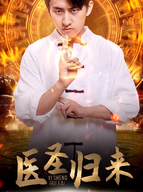 医圣归来封面